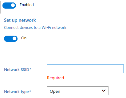 输入网络 SSID 和类型